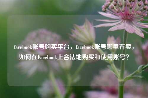 facebook帐号购买平台，facebook账号哪里有卖，如何在Facebook上合法地购买和使用账号？
