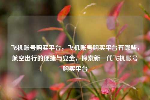 飞机账号购买平台，飞机账号购买平台有哪些，航空出行的便捷与安全，探索新一代飞机账号购买平台