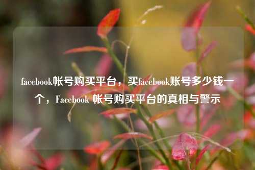 facebook帐号购买平台，买facebook账号多少钱一个，Facebook 帐号购买平台的真相与警示