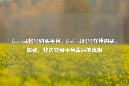 facebook帐号购买平台，facebook账号在线购买，揭秘，非法交易平台背后的真相