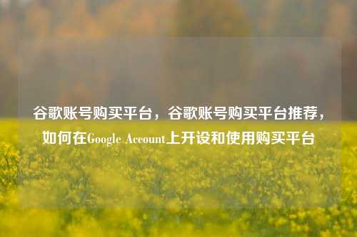 谷歌账号购买平台，谷歌账号购买平台推荐，如何在Google Account上开设和使用购买平台  第1张
