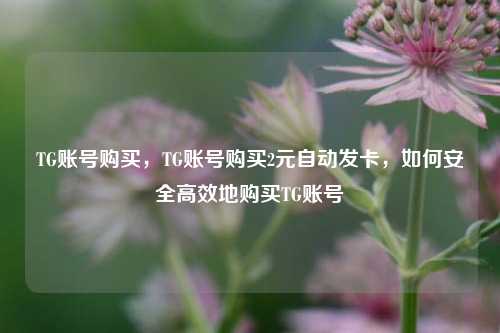TG账号购买，TG账号购买2元自动发卡，如何安全高效地购买TG账号