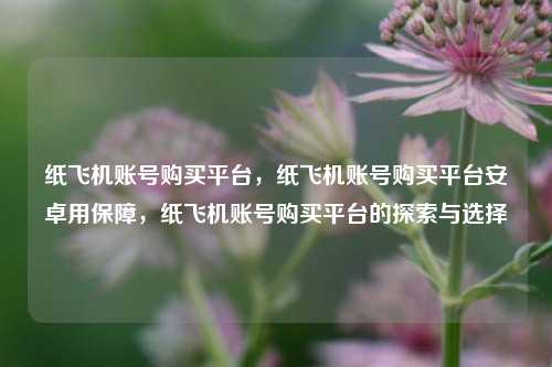 纸飞机账号购买平台，纸飞机账号购买平台安卓用保障，纸飞机账号购买平台的探索与选择