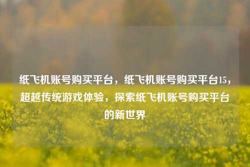 纸飞机账号购买平台	，纸飞机账号购买平台15，超越传统游戏体验，探索纸飞机账号购买平台的新世界  第1张