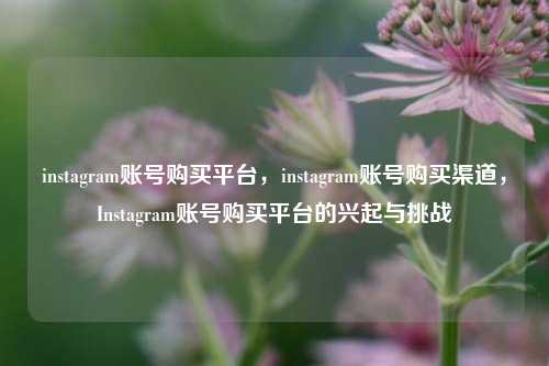 instagram账号购买平台，instagram账号购买渠道，Instagram账号购买平台的兴起与挑战
