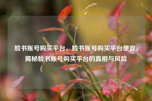 脸书账号购买平台，脸书账号购买平台便宜，揭秘脸书账号购买平台的真相与风险