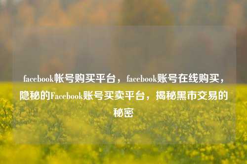 facebook帐号购买平台，facebook账号在线购买，隐秘的Facebook账号买卖平台，揭秘黑市交易的秘密