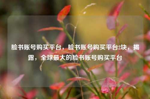 脸书账号购买平台，脸书账号购买平台2块，揭露，全球最大的脸书账号购买平台