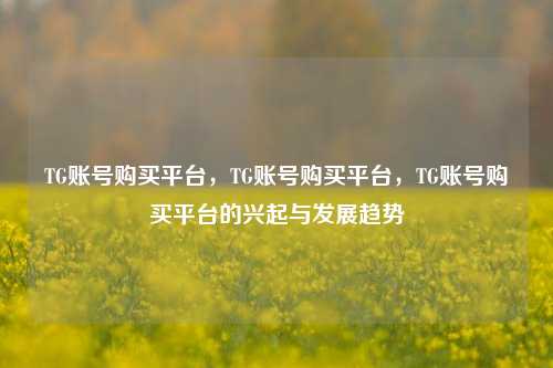 TG账号购买平台，TG账号购买平台，TG账号购买平台的兴起与发展趋势