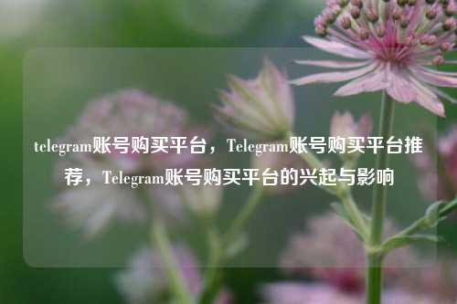telegram账号购买平台，Telegram账号购买平台推荐	，Telegram账号购买平台的兴起与影响  第1张