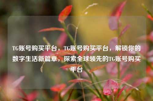 TG账号购买平台，TG账号购买平台，解锁你的数字生活新篇章，探索全球领先的TG账号购买平台