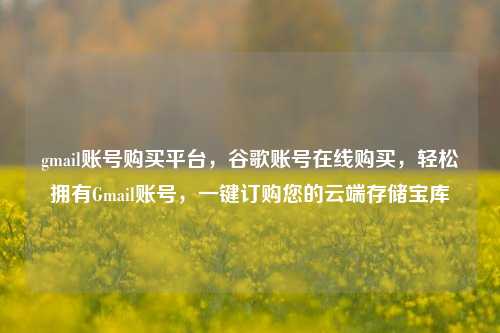gmail账号购买平台，谷歌账号在线购买，轻松拥有Gmail账号	，一键订购您的云端存储宝库  第1张