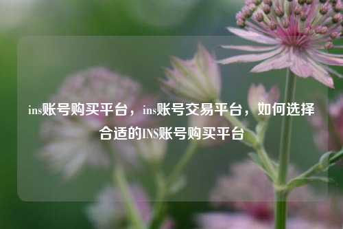 ins账号购买平台，ins账号交易平台，如何选择合适的INS账号购买平台