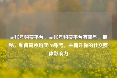 ins账号购买平台，ins账号购买平台有哪些，揭秘，如何高效购买INS账号，并提升你的社交媒体影响力