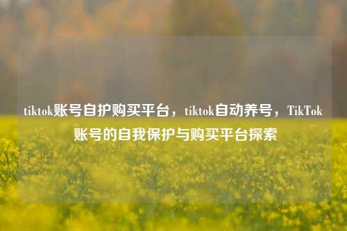 tiktok账号自护购买平台，tiktok自动养号，TikTok 账号的自我保护与购买平台探索
