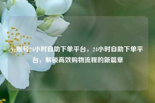 tg账号24小时自助下单平台，24小时自助下单平台，解锁高效购物流程的新篇章