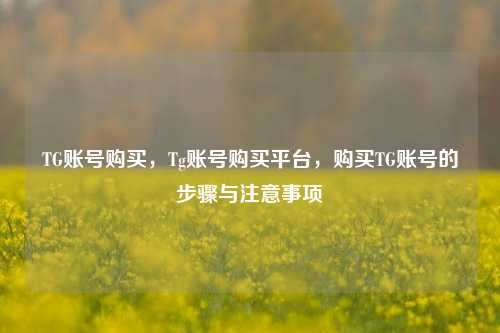 TG账号购买，Tg账号购买平台，购买TG账号的步骤与注意事项