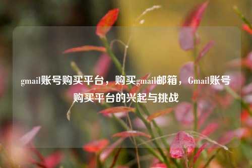 gmail账号购买平台，购买gmail邮箱，Gmail账号购买平台的兴起与挑战