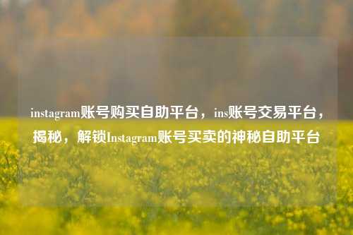 instagram账号购买自助平台，ins账号交易平台，揭秘，解锁Instagram账号买卖的神秘自助平台