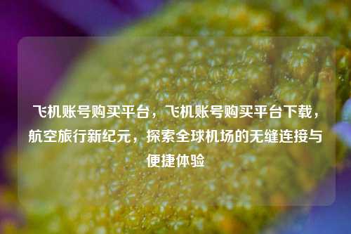 飞机账号购买平台，飞机账号购买平台下载，航空旅行新纪元，探索全球机场的无缝连接与便捷体验
