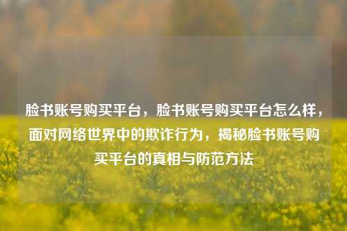 脸书账号购买平台，脸书账号购买平台怎么样，面对网络世界中的欺诈行为，揭秘脸书账号购买平台的真相与防范方法
