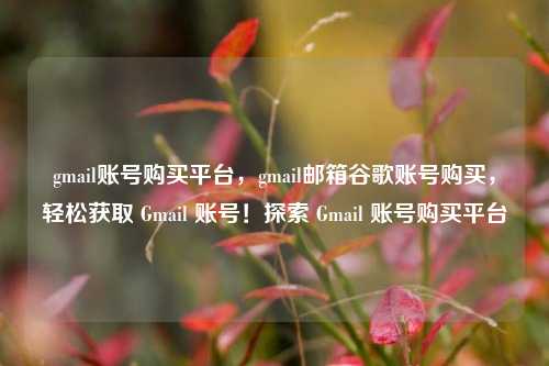 gmail账号购买平台，gmail邮箱谷歌账号购买，轻松获取 Gmail 账号！探索 Gmail 账号购买平台