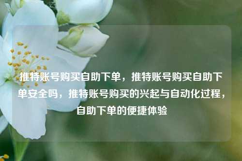 推特账号购买自助下单，推特账号购买自助下单安全吗，推特账号购买的兴起与自动化过程，自助下单的便捷体验