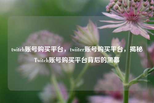 twitch账号购买平台，twiiter账号购买平台，揭秘Twitch账号购买平台背后的黑幕