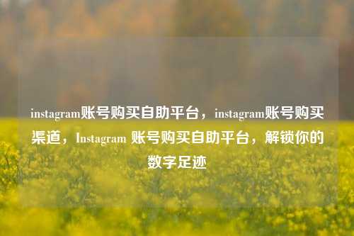 instagram账号购买自助平台，instagram账号购买渠道，Instagram 账号购买自助平台，解锁你的数字足迹