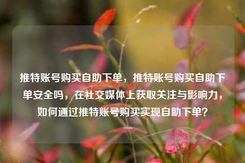 推特账号购买自助下单，推特账号购买自助下单安全吗，在社交媒体上获取关注与影响力，如何通过推特账号购买实现自助下单？