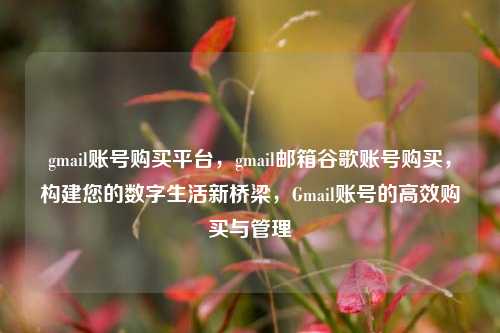 gmail账号购买平台，gmail邮箱谷歌账号购买，构建您的数字生活新桥梁，Gmail账号的高效购买与管理