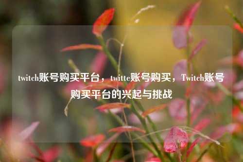 twitch账号购买平台，twitte账号购买，Twitch账号购买平台的兴起与挑战  第1张