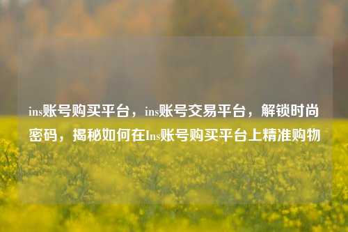 ins账号购买平台，ins账号交易平台	，解锁时尚密码，揭秘如何在Ins账号购买平台上精准购物  第1张