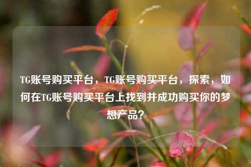 TG账号购买平台，TG账号购买平台，探索，如何在TG账号购买平台上找到并成功购买你的梦想产品？