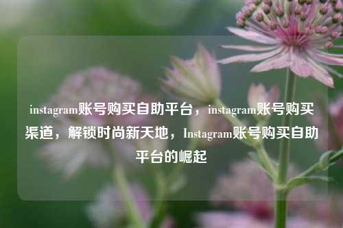 instagram账号购买自助平台，instagram账号购买渠道，解锁时尚新天地，Instagram账号购买自助平台的崛起