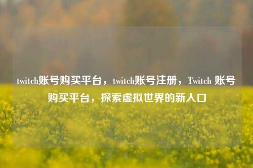 twitch账号购买平台，twitch账号注册，Twitch 账号购买平台，探索虚拟世界的新入口  第1张