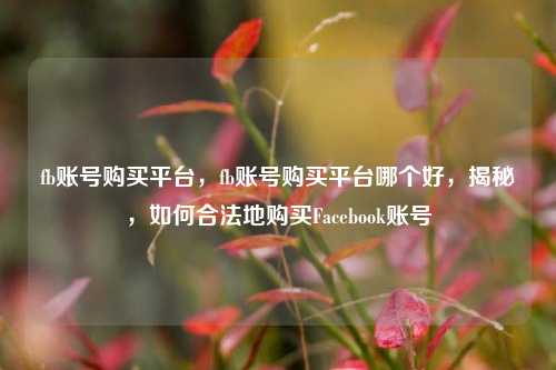fb账号购买平台，fb账号购买平台哪个好，揭秘，如何合法地购买Facebook账号
