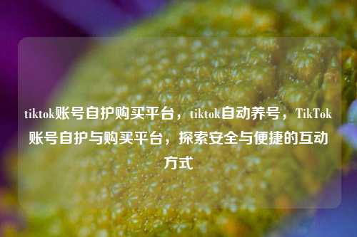 tiktok账号自护购买平台，tiktok自动养号，TikTok账号自护与购买平台，探索安全与便捷的互动方式