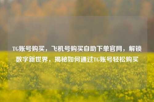 TG账号购买，飞机号购买自助下单官网，解锁数字新世界	，揭秘如何通过TG账号轻松购买  第1张