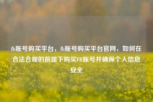 fb账号购买平台，fb账号购买平台官网，如何在合法合规的前提下购买FB账号并确保个人信息安全