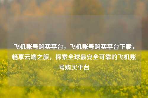 飞机账号购买平台，飞机账号购买平台下载，畅享云端之旅，探索全球最安全可靠的飞机账号购买平台