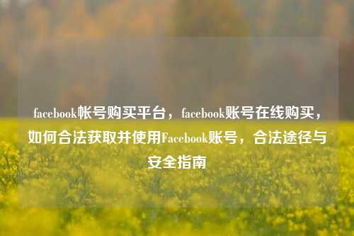 facebook帐号购买平台，facebook账号在线购买，如何合法获取并使用Facebook账号，合法途径与安全指南