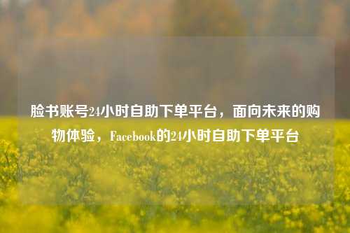 脸书账号24小时自助下单平台，面向未来的购物体验，Facebook的24小时自助下单平台
