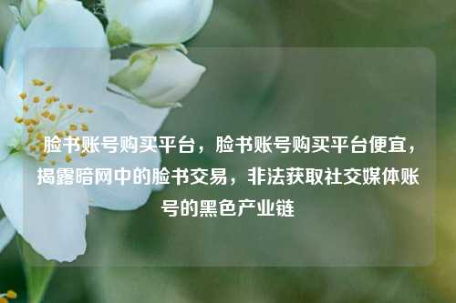 脸书账号购买平台，脸书账号购买平台便宜，揭露暗网中的脸书交易，非法获取社交媒体账号的黑色产业链