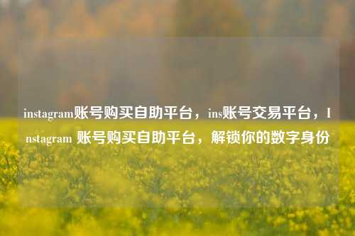 instagram账号购买自助平台，ins账号交易平台，Instagram 账号购买自助平台	，解锁你的数字身份  第1张