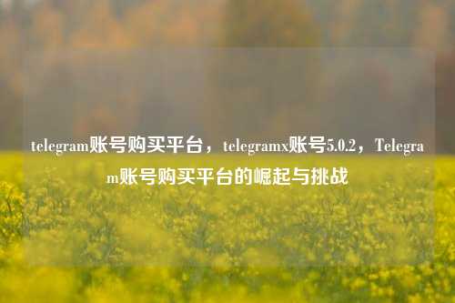 telegram账号购买平台，telegramx账号5.0.2	，Telegram账号购买平台的崛起与挑战  第1张