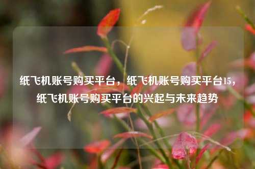 纸飞机账号购买平台，纸飞机账号购买平台15，纸飞机账号购买平台的兴起与未来趋势