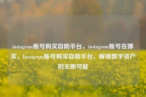 instagram账号购买自助平台，instagram账号在哪买，Instagram账号购买自助平台，解锁数字资产的无限可能