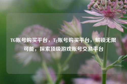 TG账号购买平台，Tg账号购买平台，解锁无限可能，探索顶级游戏账号交易平台