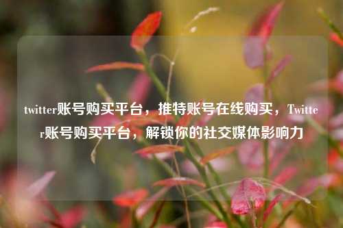 twitter账号购买平台，推特账号在线购买，Twitter账号购买平台，解锁你的社交媒体影响力